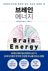 브레인 에너지